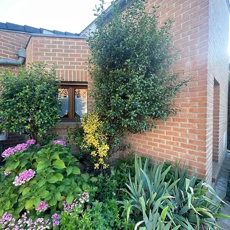 Apartment Cozy Near Lille